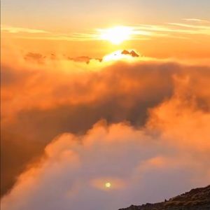 Meet your Posher, Juliannna